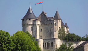 Château de la Motte d Usseau